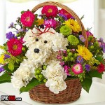 floral-arrangement-fail-dog2