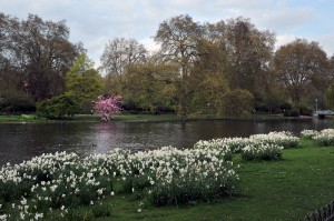 Сент-Джеймский парк в Лондоне