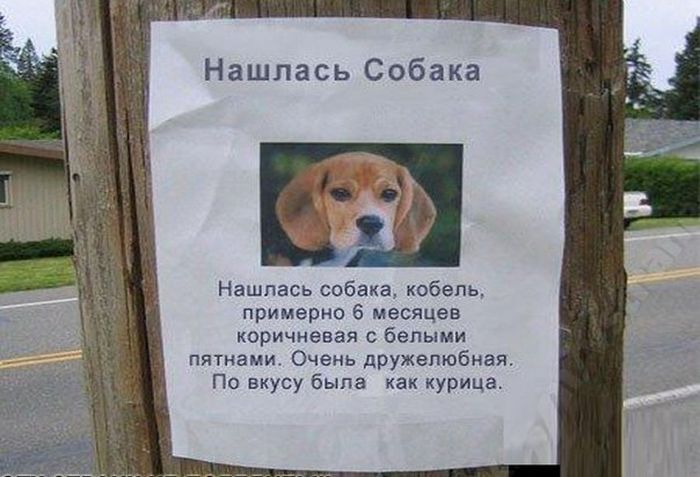 юмор без слов