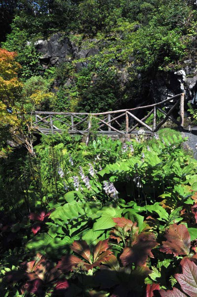 Сад замка Данвеган на острове Скай