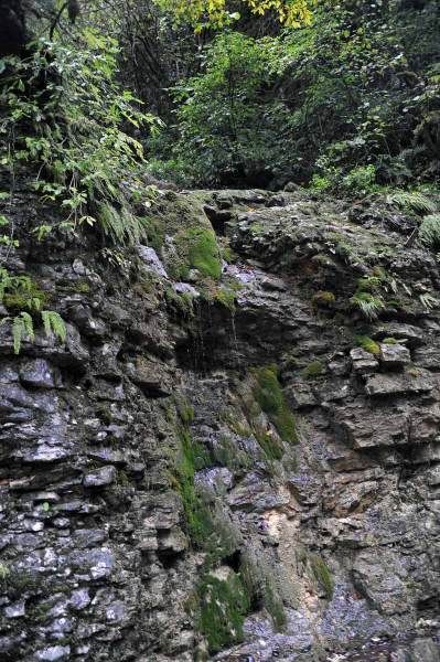 Гуамское ущелье -1-23
