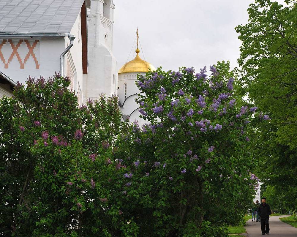 Свято-Покровский женский монастырь-19