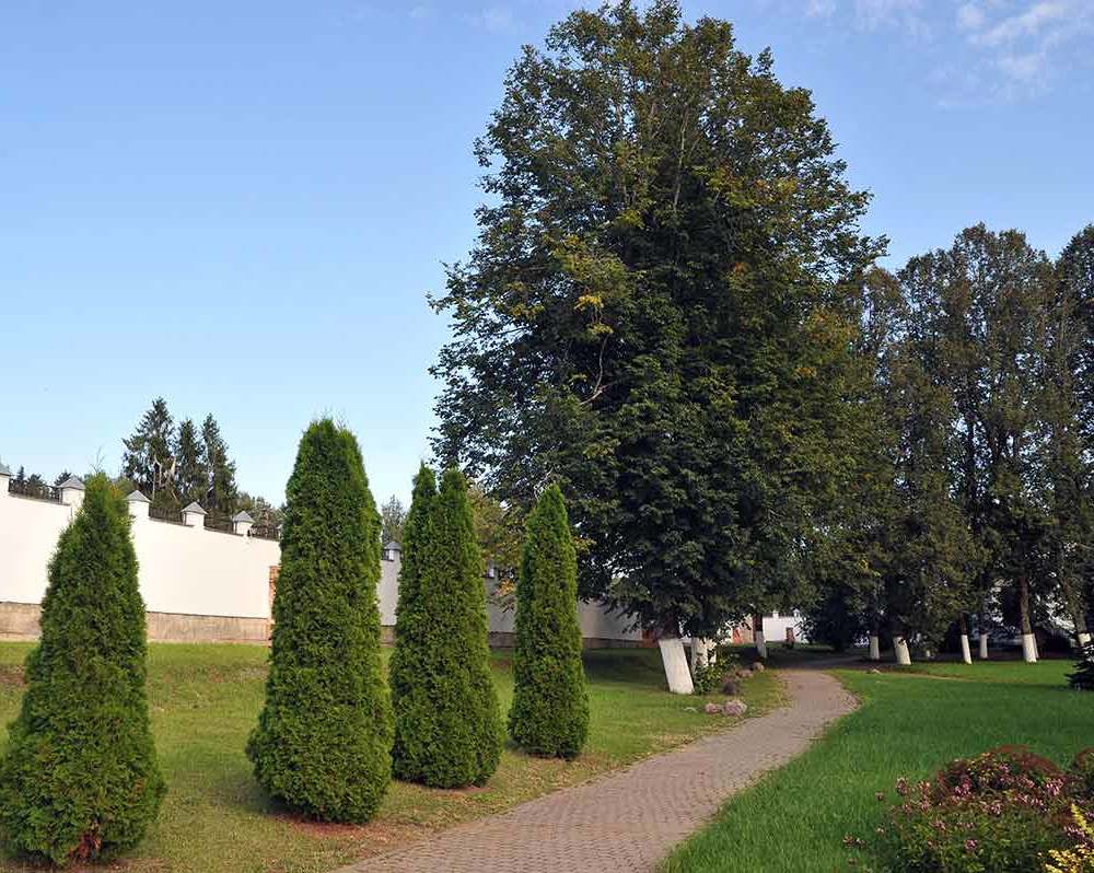 Спасо - Елизаровский женский монастырь-6