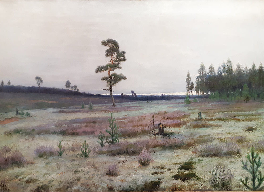 Ендогуров И.И. 1861-1898. Мхи.-1