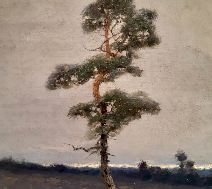 Ендогуров И.И. 1861-1898. Мхи.-3