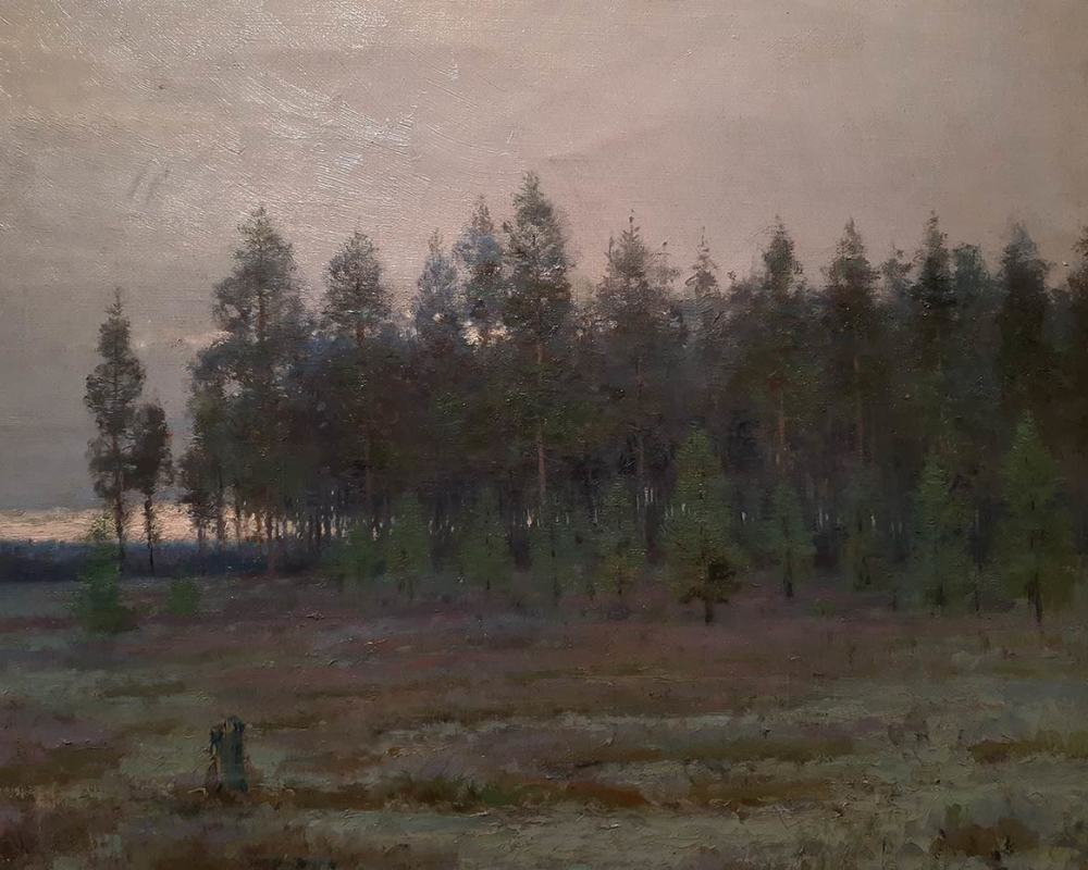 Ендогуров И.И. 1861-1898. Мхи.-4