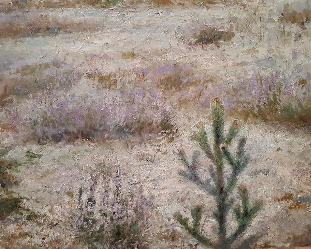 Ендогуров И.И. 1861-1898. Мхи.-5