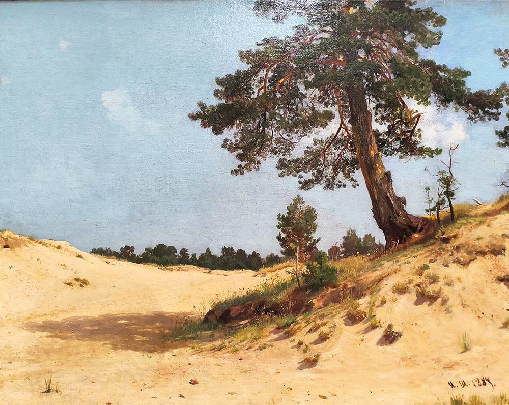 И.И. Шишкин (1832-1898) Сосна на песке. 1884 г. Х.М.