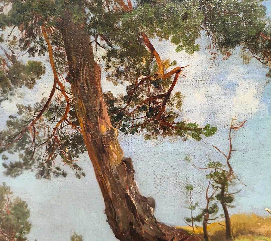 И.И. Шишкин (1832-1898) Сосна на песке. 1884 г. Х.М.-3