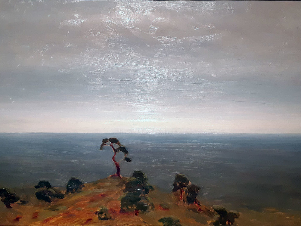 А. Куинджи (1842-1910) Лесные дали Картон на холсте, масло