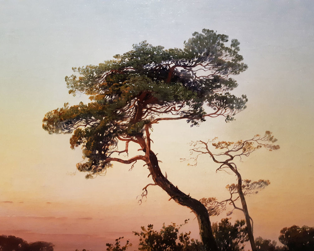 А.К. Саврасов (1830-1897) Пейзаж с сосной 1854 ХМ-2